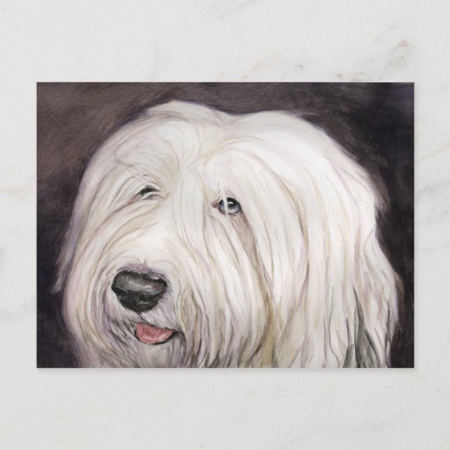 Old English Sheepdog Art Postcard Postkarte (Vorderseite)