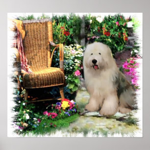 Old English Sheepdog Art Print Poster