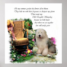 Old English Sheepdog Art Print