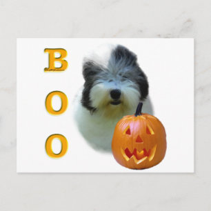 Old English Sheepdog Boo Postkarte