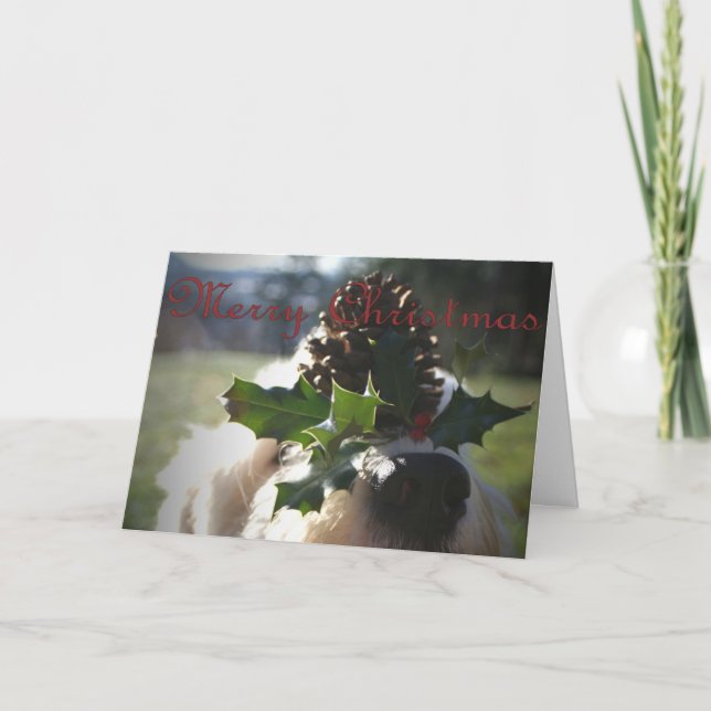 Old English Sheepdog Christmas Feiertagskarte (Vorderseite)