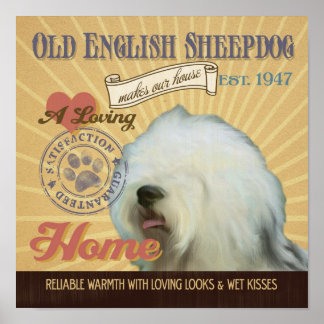 Old English Sheepdog Doster Art Poster