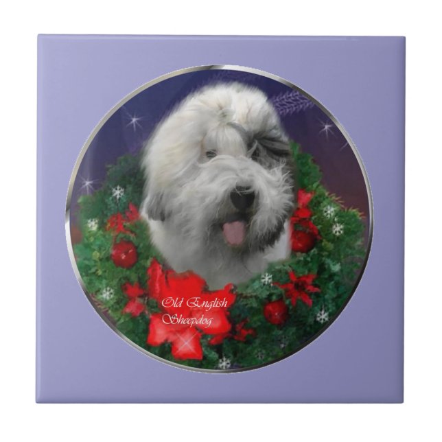 Old English Sheepdog Fliese (Vorderseite)