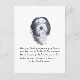 Old English Sheepdog Keepake - Männlich Postkarte