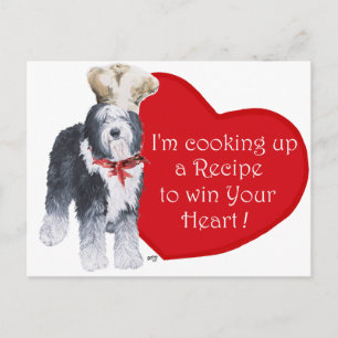 Old English Sheepdog Koch der Liebe Postkarte