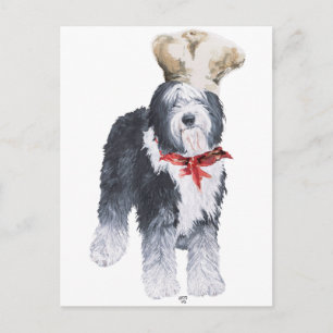 Old English Sheepdog Koch der Liebe Postkarte