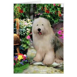 Old English Sheepdog Kunstgeschenke