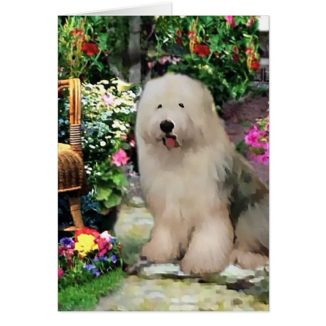 Old English Sheepdog Kunstgeschenke (Vorne)