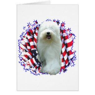 Old English Sheepdog Patriot