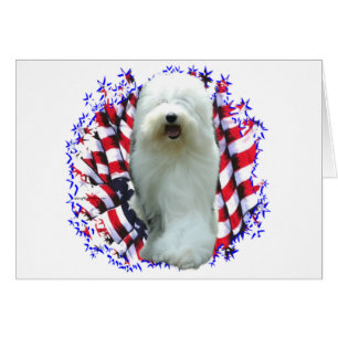 Old English Sheepdog Patriot
