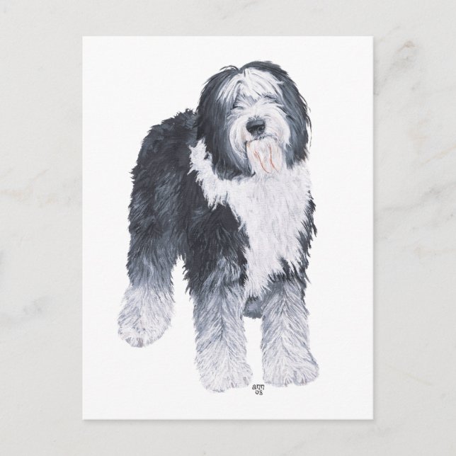 Old English Sheepdog Postkarte (Vorderseite)