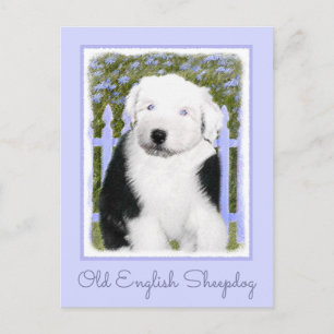 Old English Sheepdog Puppy Painting - Dog Art Postkarte