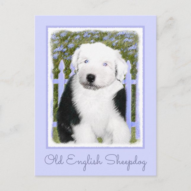 Old English Sheepdog Puppy Painting - Dog Art Postkarte (Vorderseite)