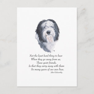 Old English Sheepdog Rainbow Bridge Postkarte