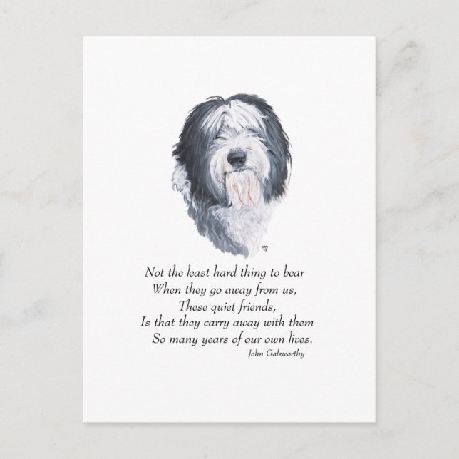 Old English Sheepdog Rainbow Bridge Postkarte (Vorderseite)