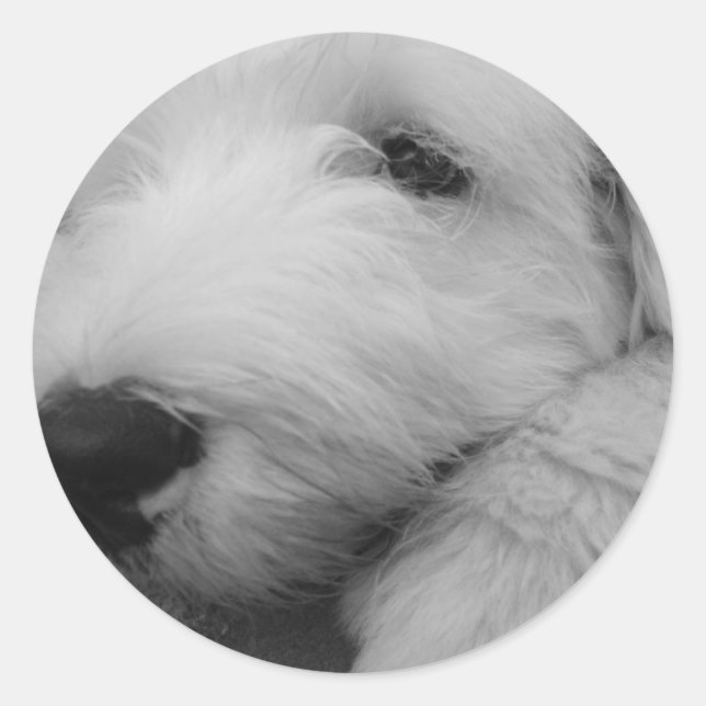 Old English Sheepdog Runder Aufkleber (Vorderseite)