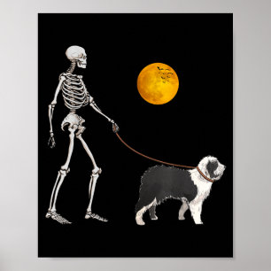 Old English Sheepdog Skelett Hund Gehen Poster