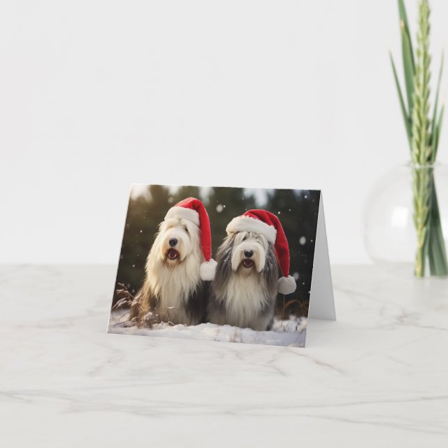 Old English Sheepdogs Christmas Card Karte (Vorderseite)
