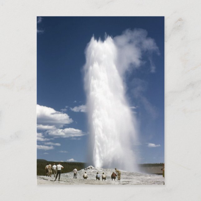 Old Faithful 1948 Postcard Postkarte (Vorderseite)