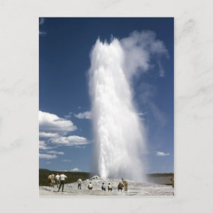 Old Faithful 1948 Postkarte