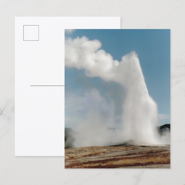 Old Faithful 2009 Postkarte (Vorne/Hinten)