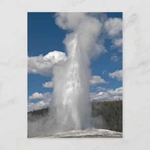 Old Faithful Geyser - Postkarte