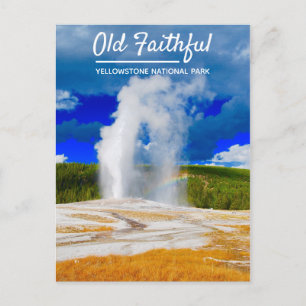 Old Faithful Geyser   Yellowstone-Nationalpark Postkarte