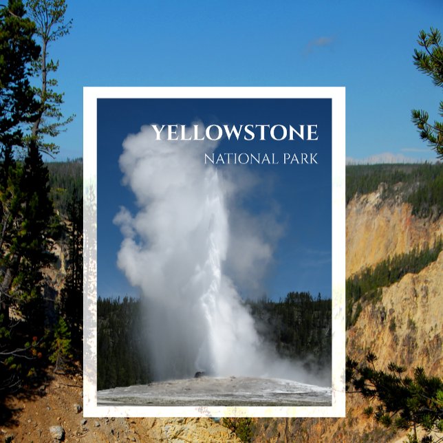 Old Faithful Geyser, Yellowstone Nationalpark Postkarte (Von Creator hochgeladen)