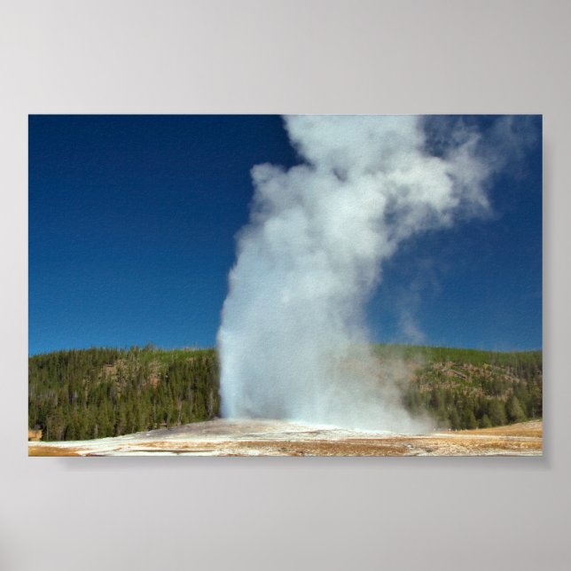 Old Faithful Poster (Vorne)