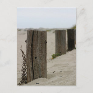 Old Fence Poles Postkarte