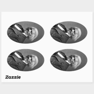 Old Fr3d3rick Bailey Douglas African American Hero Ovaler Aufkleber