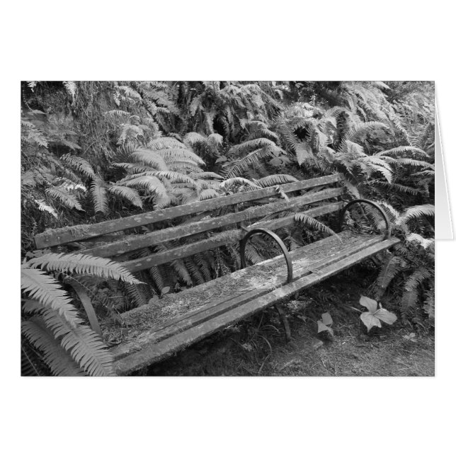 Old Garden Bench in Monochrome Card (Vorderseite (Horizontal))