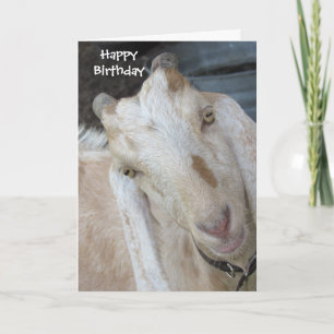 Old Goat Birthday Card - Einfache Personalisierung Karte