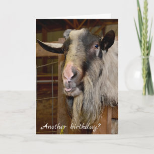 Old Goat Birthday Spaß Karte