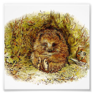 "Old Mr Pricklepin" von Beatrix Potter Fotodruck