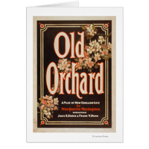 Old Orchard ein Spiel des Lebens in Neuengland Pos