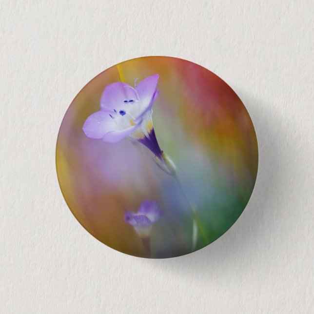 Old Point Loma Leuchtturm| Monument Cabrillo Button (Vorderseite)