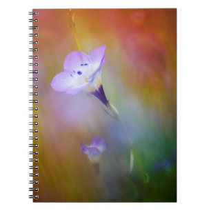 Old Point Loma Leuchtturm  Monument Cabrillo Notizblock