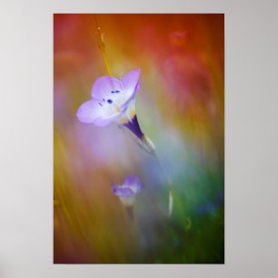 Old Point Loma Leuchtturm  Monument Cabrillo Poster