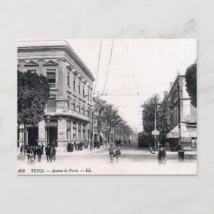 Old Postcard - Avenue de Paris, Tunis Postkarte