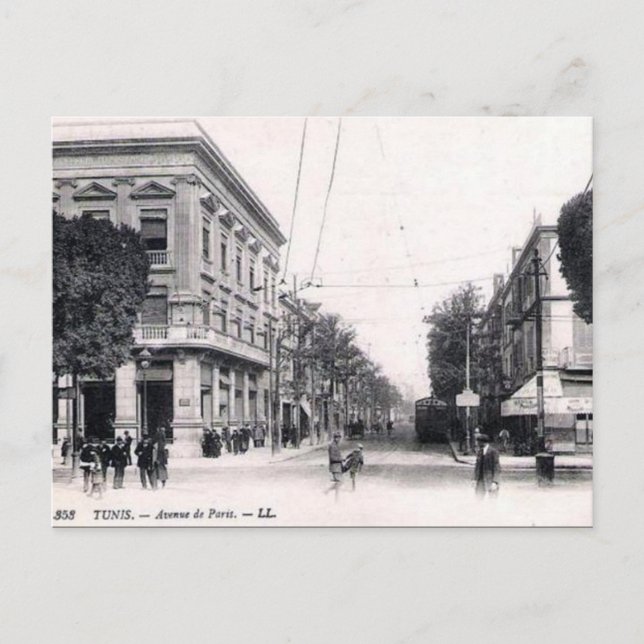 Old Postcard - Avenue de Paris, Tunis Postkarte (Vorderseite)