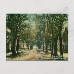 Old Postcard - Fredericton, New Brunswick Postkarte