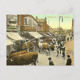 Old Postcard - Market Day, Watford, Herts Postkarte