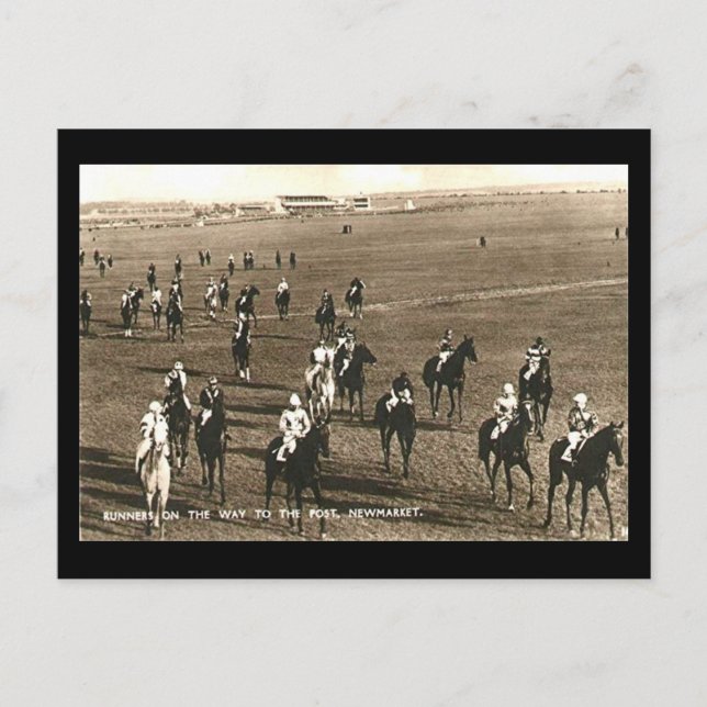 Old Postcard - Racehorses at Newmarket Postkarte (Vorderseite)