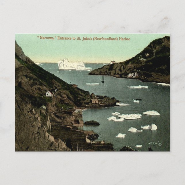 Old Postcard - St John's, Neufundland Postkarte (Vorderseite)