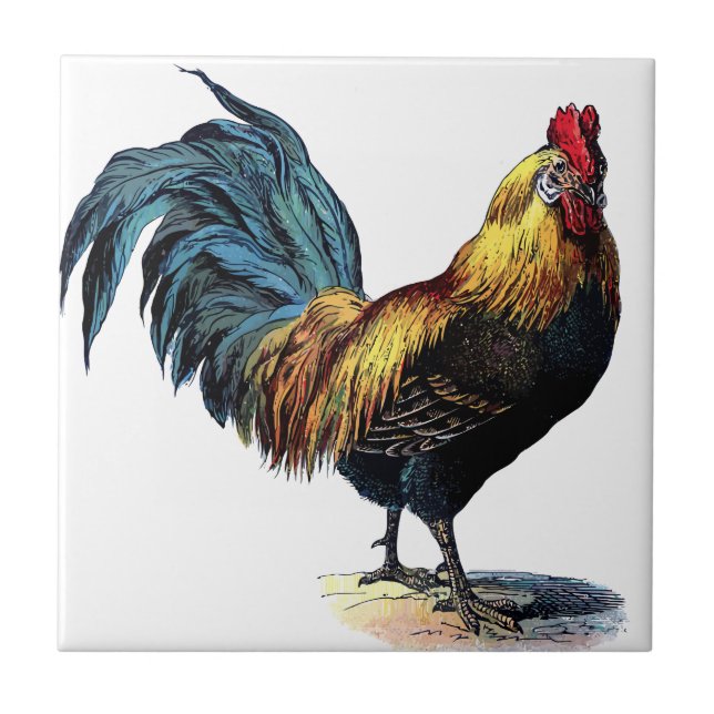 OLD ROOSTER FLIESE (Vorderseite)