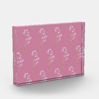 Old Rose Pink, Fotoblock