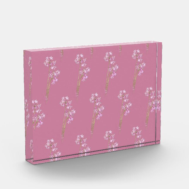 Old Rose Pink, Fotoblock (Links)