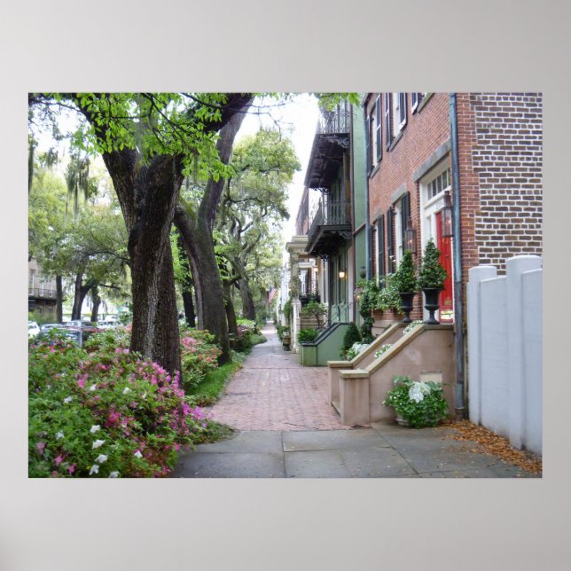 Old Savannah Poster (Vorne)