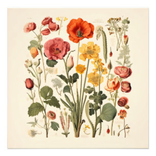 Old-School-Blumen Fotodruck
